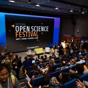 impression of the venue at NOSF